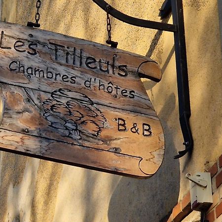 Les Tilleuls Neung-sur-Beuvron Экстерьер фото